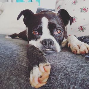 Meet your Posher, Kimberley